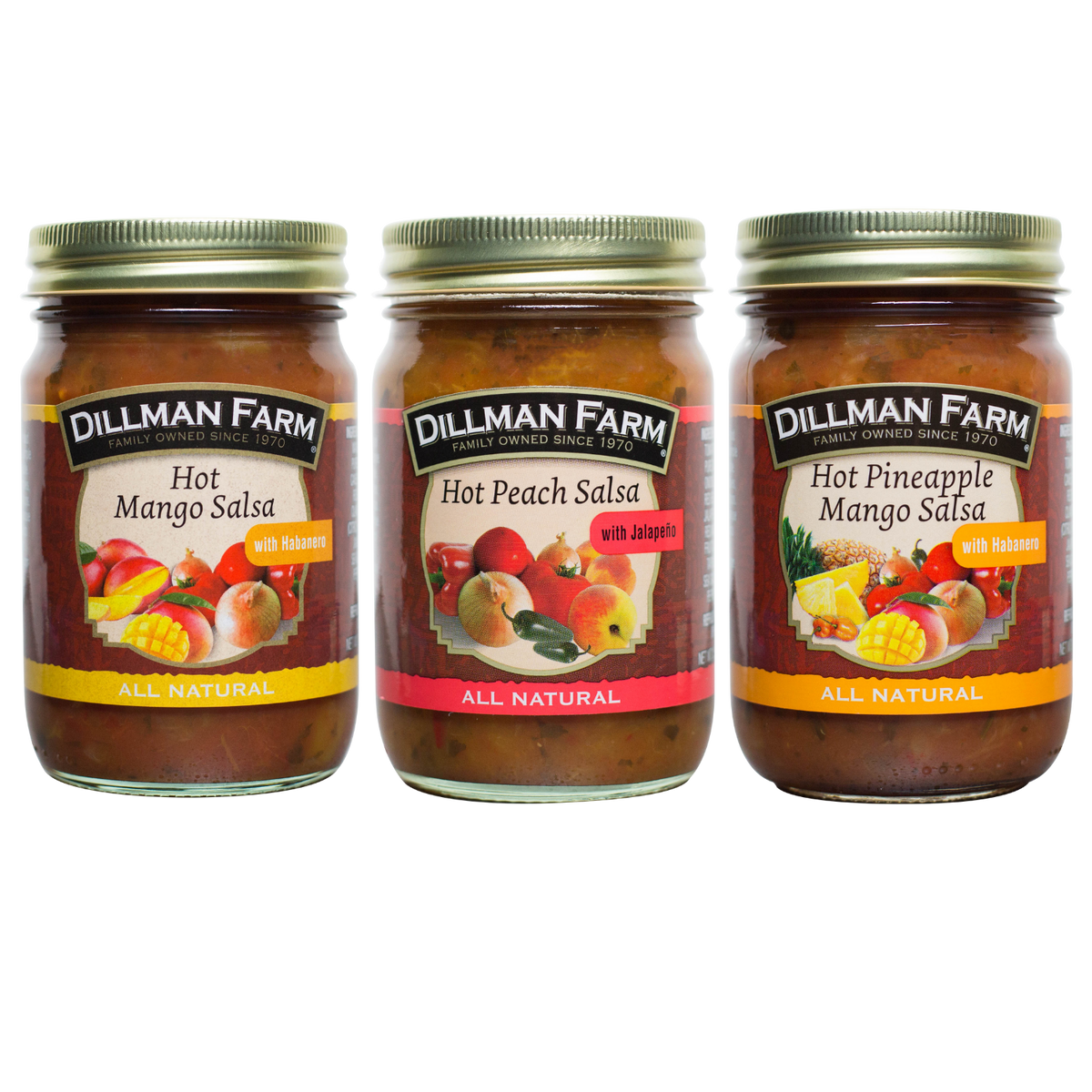 Hot Salsa 3 Pack Dillman Farm